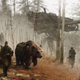 Illustration for article titled When Bears Fought Beside Mechs to Defend Warsaw